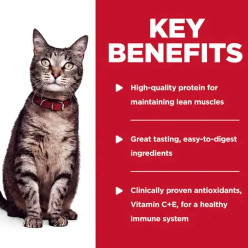New Hill's Science Diet Adult Chicken & Spinach Casserole Wet Cat Food Pouches
