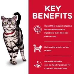 Outlet Hill's Science Diet Adult Indoor Chicken Recipe Dry Cat Food