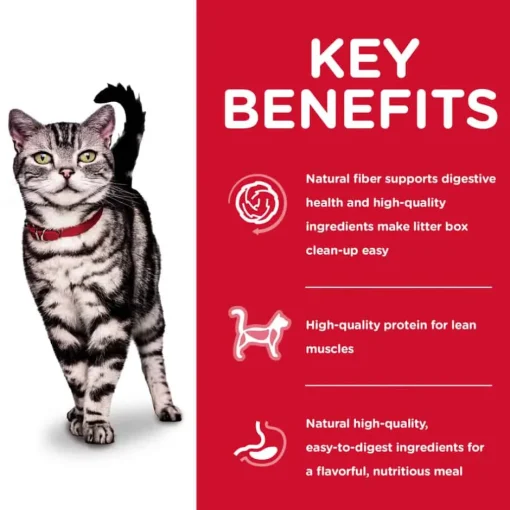 Outlet Hill's Science Diet Adult Indoor Chicken Recipe Dry Cat Food