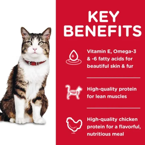 Sale Hill's Science Diet Adult Hairball Control Chicken Recipe Dry Cat Food