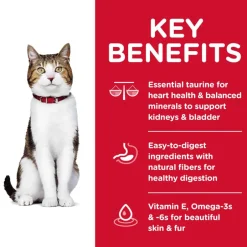 Fashion Hill's Science Diet Adult 7+ Chicken Recipe Dry Cat Food