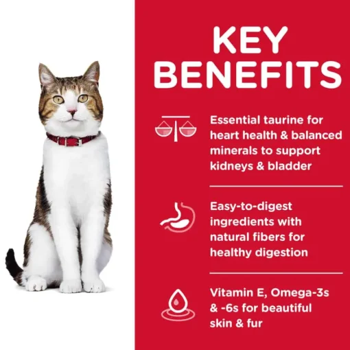 Fashion Hill's Science Diet Adult 7+ Chicken Recipe Dry Cat Food