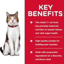 Hot Hill's Science Diet Adult 7+ Savory Turkey Entree Wet Cat Food