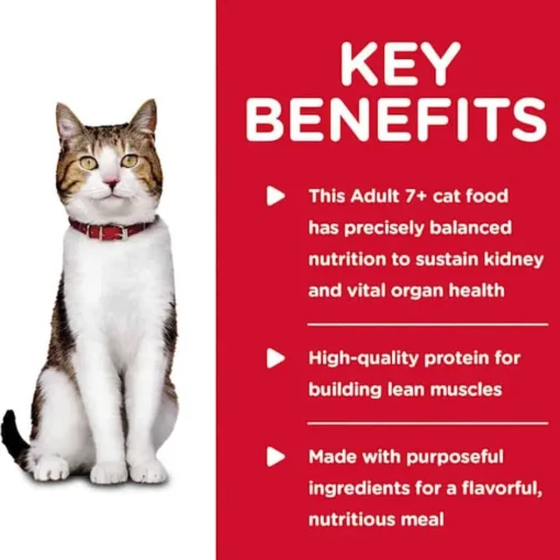 Hot Hill's Science Diet Adult 7+ Savory Turkey Entree Wet Cat Food