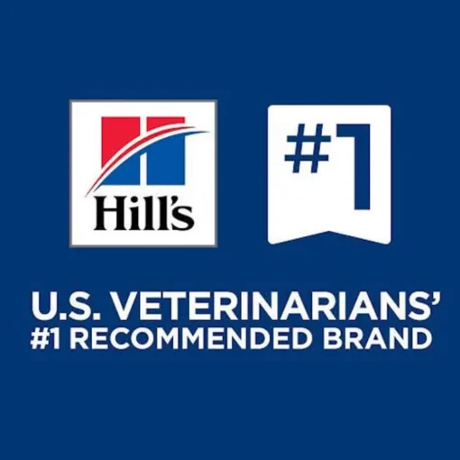 Best Hill's Science Diet Adult No Corn, Wheat or Soy Chicken Dry Dog Food