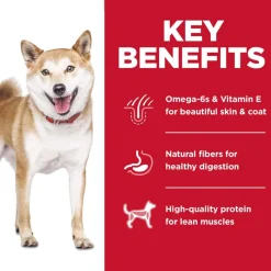 Best Hill's Science Diet Adult No Corn, Wheat or Soy Chicken Dry Dog Food