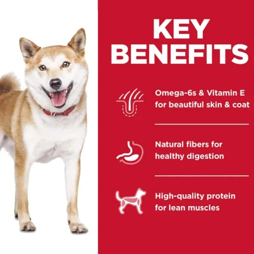 Best Hill's Science Diet Adult No Corn, Wheat or Soy Chicken Dry Dog Food