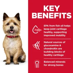 Hot Hill's Science Diet Adult Healthy Mobility Small Bites Chicken Meal, Brown Rice & Barley Dry Dog Food