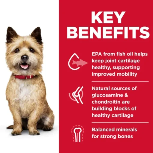 Hot Hill's Science Diet Adult Healthy Mobility Small Bites Chicken Meal, Brown Rice & Barley Dry Dog Food