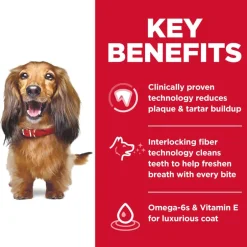 Fashion Hill's Science Diet Adult Oral Care Chicken Rice & Barley Dry Dog Food