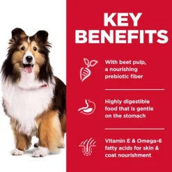 Online Hill's Science Diet Adult Sensitive Stomach & Skin Chicken Dry Dog Food