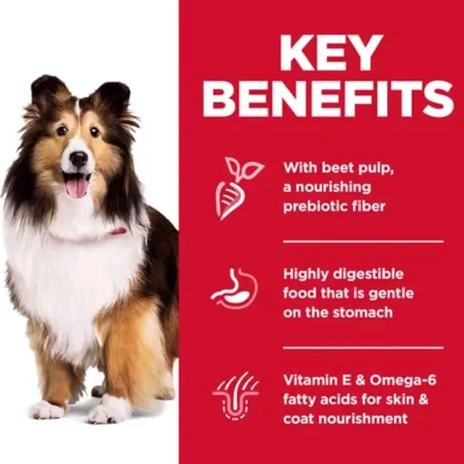 Online Hill's Science Diet Adult Sensitive Stomach & Skin Chicken Dry Dog Food