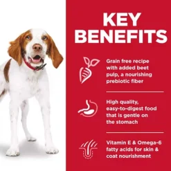 Online Hill's Science Diet Adult Sensitive Stomach & Skin Grain Free Chicken & Potato Dry Dog Food