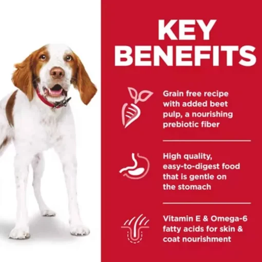 Online Hill's Science Diet Adult Sensitive Stomach & Skin Grain Free Chicken & Potato Dry Dog Food