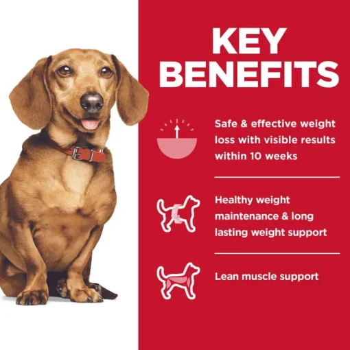 New Hill's Science Diet Adult Perfect Weight Small & Mini Chicken Dry Dog Food