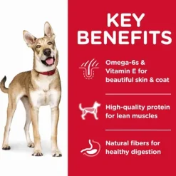 Discount Hill's Science Diet Adult Lamb Meal & Brown Rice Dry Dog Food