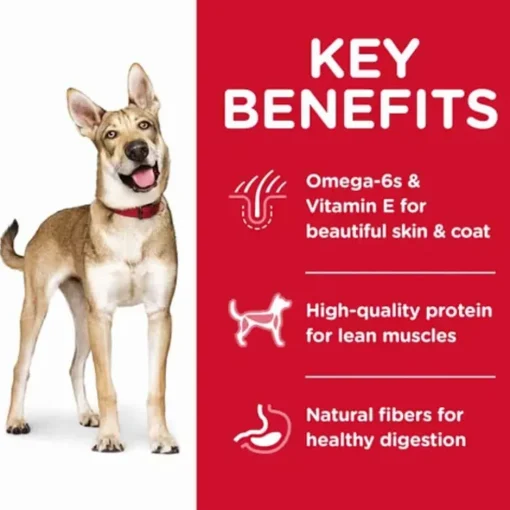 Discount Hill's Science Diet Adult Lamb Meal & Brown Rice Dry Dog Food