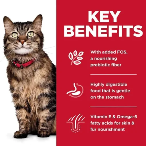 Fashion Hill's Science Diet Adult Sensitive Stomach & Skin Chicken Recipe Dry Cat Food