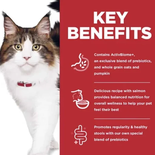 Clearance Hill's Science Diet Adult Perfect Digestion Salmon Recipe Dry Cat Food