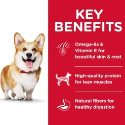 Online Hill's Science Diet Adult Small Bites Lamb Meal & Brown Rice Dry Dog Food