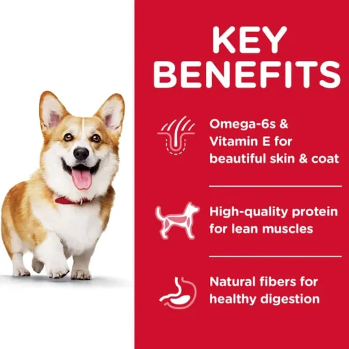 Online Hill's Science Diet Adult Small Bites Lamb Meal & Brown Rice Dry Dog Food