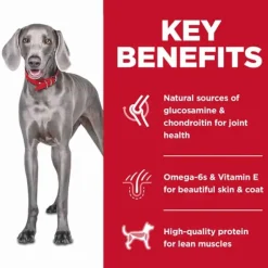 Discount Hill's Science Diet Adult Large Breed Chicken No Corn, Wheat or Soy Dry Dog Food