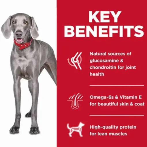 Discount Hill's Science Diet Adult Large Breed Chicken No Corn, Wheat or Soy Dry Dog Food