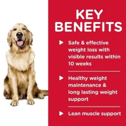 Best Hill's Science Diet Adult Perfect Weight Hearty Vegetable & Chicken Stew Wet Dog Food