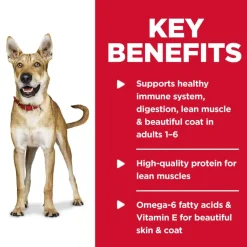 Best Hill's Science Diet Adult Chicken & Barley Entree Wet Dog Food