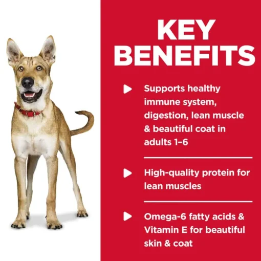 Best Hill's Science Diet Adult Chicken & Barley Entree Wet Dog Food