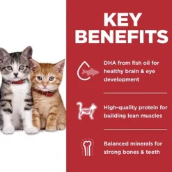 Sale Hill's Science Diet Kitten No Corn, Wheat or Soy Chicken Recipe Dry Cat Food