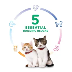 New Hill's Science Diet Kitten Healthy Cuisine Tender Chicken & Rice Medley Wet Cat Food
