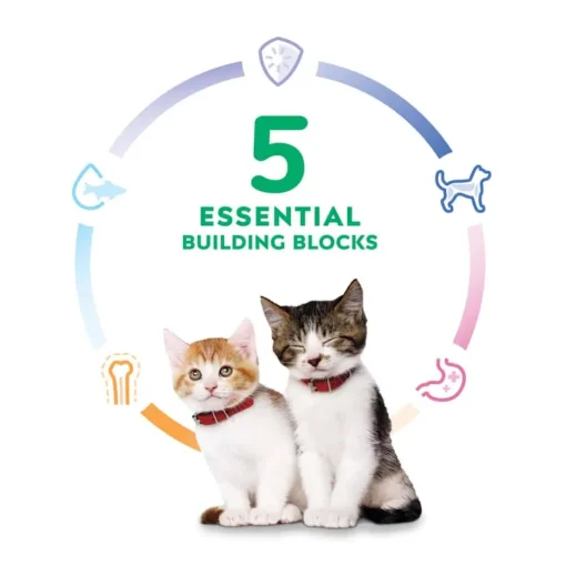 New Hill's Science Diet Kitten Healthy Cuisine Tender Chicken & Rice Medley Wet Cat Food
