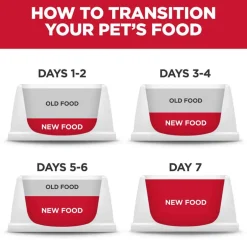 Best Hill's Science Diet Kitten Chicken Recipe Dry Cat Food