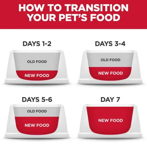 Best Hill's Science Diet Kitten Chicken Recipe Dry Cat Food