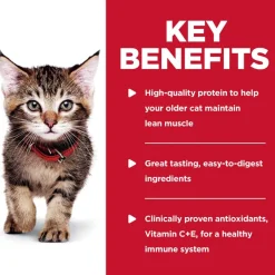 Outlet Hill's Science Diet Kitten Tender Chicken Dinner Wet Cat Food Pouches