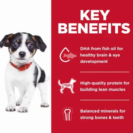 Online Hill's Science Diet Puppy No Corn, Wheat or Soy Chicken & Brown Rice Dry Dog Food