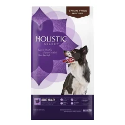 Sale Holistic Select Natural Grain Free Adult Health Deboned Turkey & Lentils