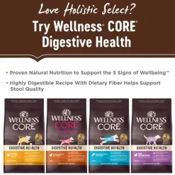 Sale Holistic Select Natural Grain Free Adult Health Deboned Turkey & Lentils
