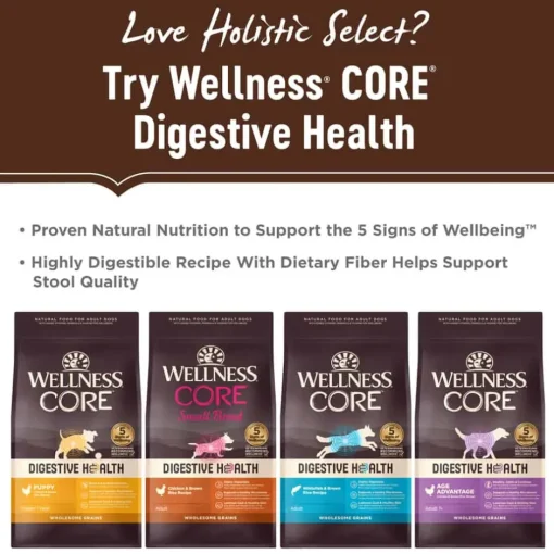 Sale Holistic Select Natural Grain Free Adult Health Deboned Turkey & Lentils