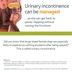 Online Incurin (Estriol) - Urinary Incontinence Treatment Chewable Tablets for Dogs