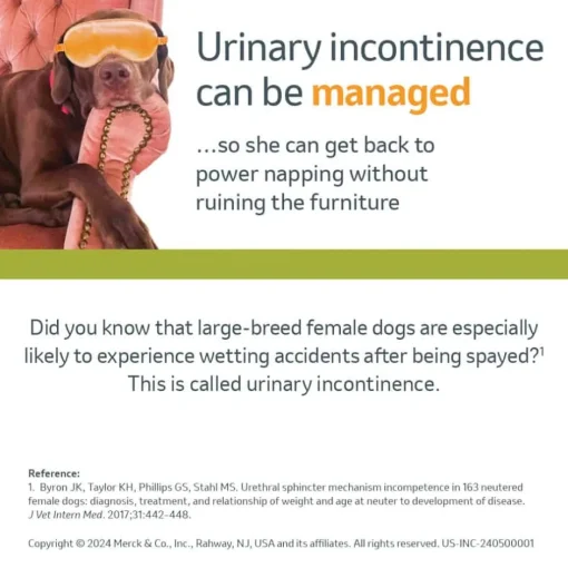 Online Incurin (Estriol) - Urinary Incontinence Treatment Chewable Tablets for Dogs