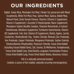 Outlet Instinct Original Grain Free Recipe with Real Rabbit Natural Dry Cat Food
