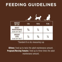 Outlet Instinct Original Grain Free Recipe with Real Rabbit Natural Dry Cat Food