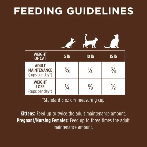 Outlet Instinct Original Grain Free Recipe with Real Rabbit Natural Dry Cat Food