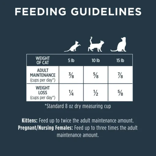Discount Instinct Raw Boost Healthy Weight Grain Free Recipe with Real Chicken Natural Adult Dry Cat Food