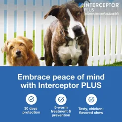 Outlet Interceptor Plus - Heartworm + Broad Spectrum Prevention Soft Chew for Dogs