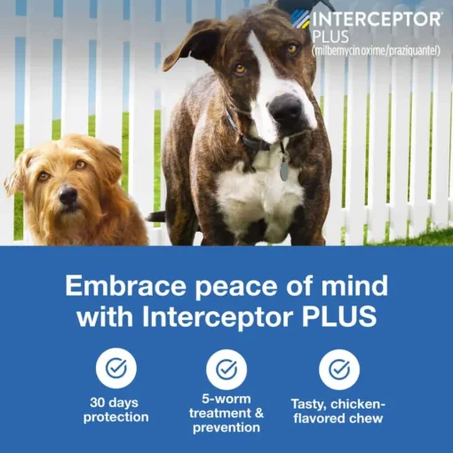 Outlet Interceptor Plus - Heartworm + Broad Spectrum Prevention Soft Chew for Dogs