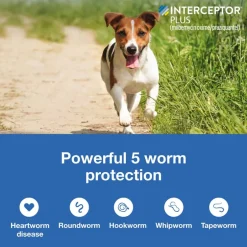 Outlet Interceptor Plus - Heartworm + Broad Spectrum Prevention Soft Chew for Dogs