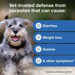 Outlet Interceptor Plus - Heartworm + Broad Spectrum Prevention Soft Chew for Dogs